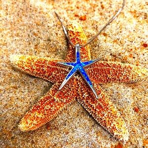 Australian 💚💦🩵💜❤️💙Opal Star Fish Necklace
